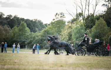 VII MIĘDZYNARODOWY KONKURS TRADYCYJNEGO POWOŻENIA 3