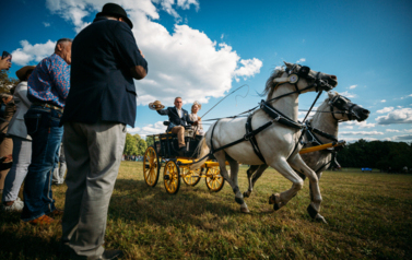 VII MIĘDZYNARODOWY KONKURS TRADYCYJNEGO POWOŻENIA 6