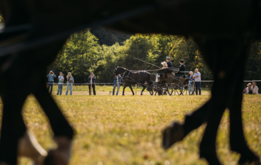 VII MIĘDZYNARODOWY KONKURS TRADYCYJNEGO POWOŻENIA 7