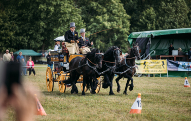 VII MIĘDZYNARODOWY KONKURS TRADYCYJNEGO POWOŻENIA 18