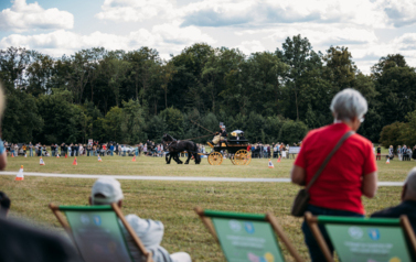 VII MIĘDZYNARODOWY KONKURS TRADYCYJNEGO POWOŻENIA 19