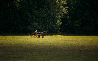 VII MIĘDZYNARODOWY KONKURS TRADYCYJNEGO POWOŻENIA 21