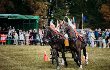 VII MIĘDZYNARODOWY KONKURS TRADYCYJNEGO POWOŻENIA 22