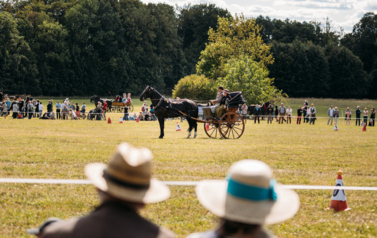 VII MIĘDZYNARODOWY KONKURS TRADYCYJNEGO POWOŻENIA 23