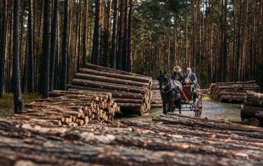 VII MIĘDZYNARODOWY KONKURS TRADYCYJNEGO POWOŻENIA 32