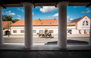 VII MIĘDZYNARODOWY KONKURS TRADYCYJNEGO POWOŻENIA 33