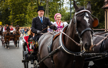 VII MIĘDZYNARODOWY KONKURS TRADYCYJNEGO POWOŻENIA 39