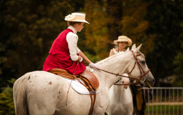VII MIĘDZYNARODOWY KONKURS TRADYCYJNEGO POWOŻENIA 41
