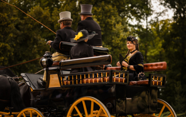 VII MIĘDZYNARODOWY KONKURS TRADYCYJNEGO POWOŻENIA 45