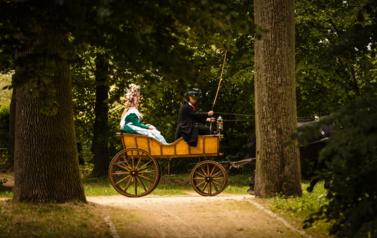 VII MIĘDZYNARODOWY KONKURS TRADYCYJNEGO POWOŻENIA 50