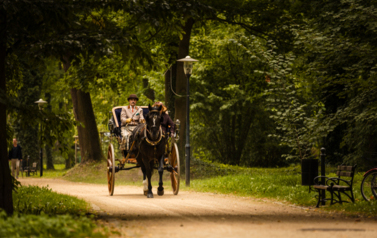 VII MIĘDZYNARODOWY KONKURS TRADYCYJNEGO POWOŻENIA 54