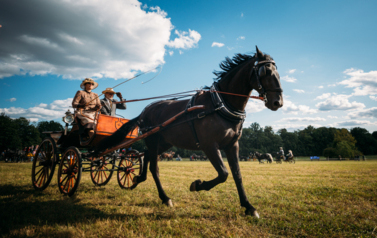 VII MIĘDZYNARODOWY KONKURS TRADYCYJNEGO POWOŻENIA 62