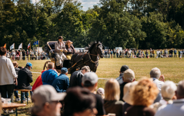 VII MIĘDZYNARODOWY KONKURS TRADYCYJNEGO POWOŻENIA 71