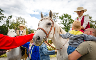 VII MIĘDZYNARODOWY KONKURS TRADYCYJNEGO POWOŻENIA 82