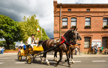 VII MIĘDZYNARODOWY KONKURS TRADYCYJNEGO POWOŻENIA 83