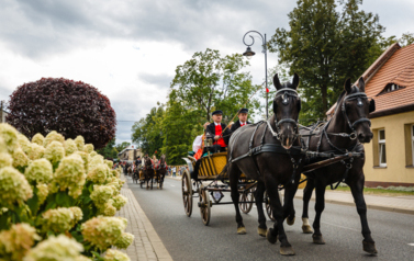 VII MIĘDZYNARODOWY KONKURS TRADYCYJNEGO POWOŻENIA 87