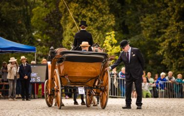 VII MIĘDZYNARODOWY KONKURS TRADYCYJNEGO POWOŻENIA 93