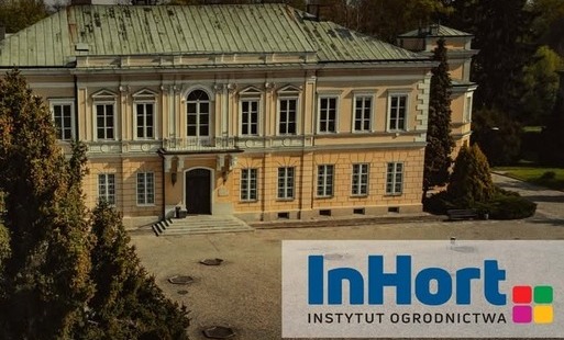 grafika z logiem