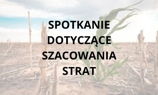 grafika z tytułem