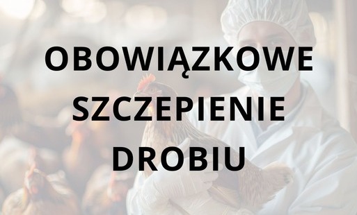 grafika z tytułem
