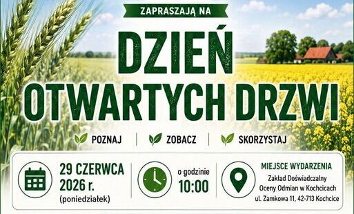 grafika z datą