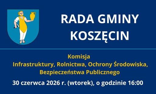 grafika z datą