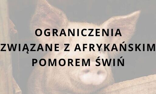 grafika z tytułem