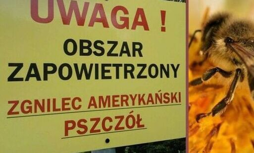 grafika z tytułem