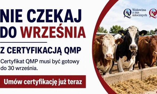 grafika z tytułem