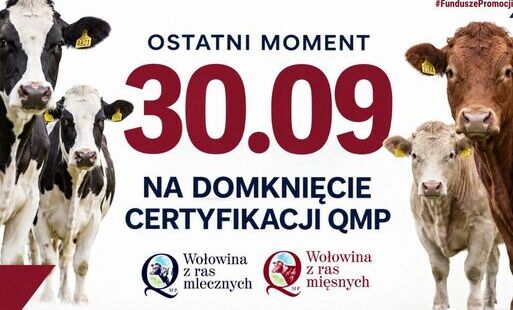 grafika z tytułem i datą