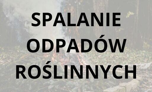 grafika z tytułem