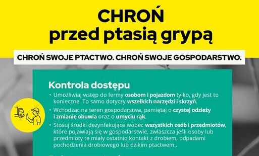 grafika z tytułem