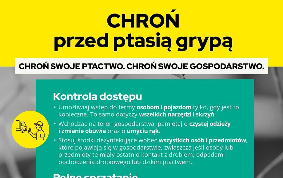 Kampania #NoBirdFlu przeciwko ptasiej grypie