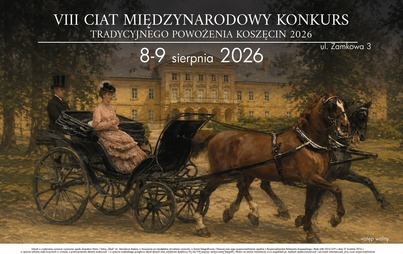 grafika z datą